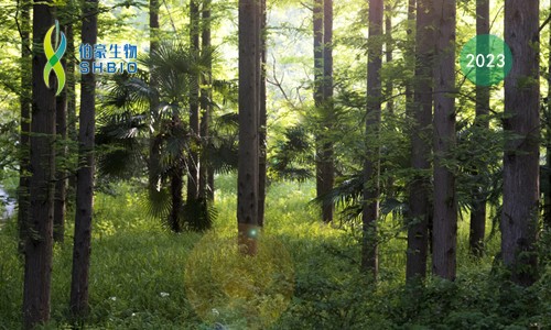 会议邀请 | 伯豪生物诚邀您参加第八届中国林业学术大会